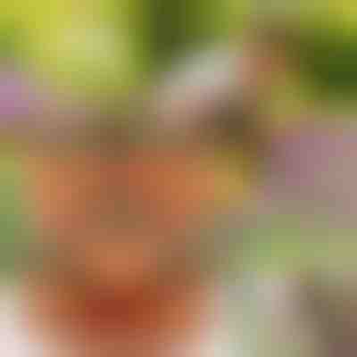 Vasi da fiori impilabili (3x pezzi) | PLANTUP