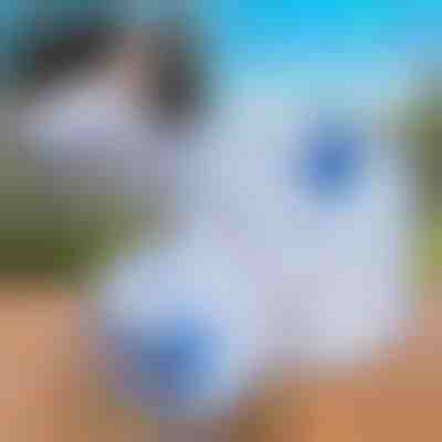 Serbatoio d'acqua pieghevole (10L) | AQUATANK