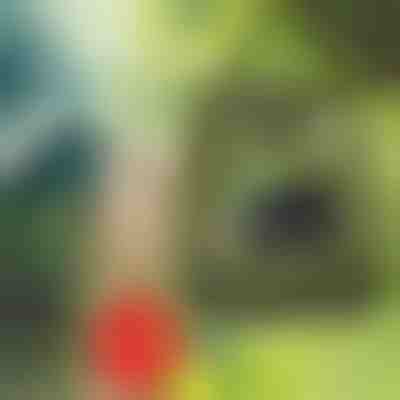 Doccia portatile | SHOWDY