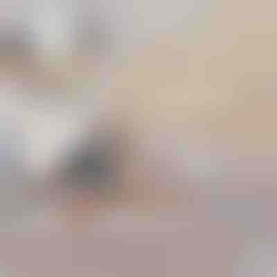 Divano letto gonfiabile | SOFLINKA