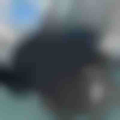 Cuscino per sedile girevole | SPINPAD