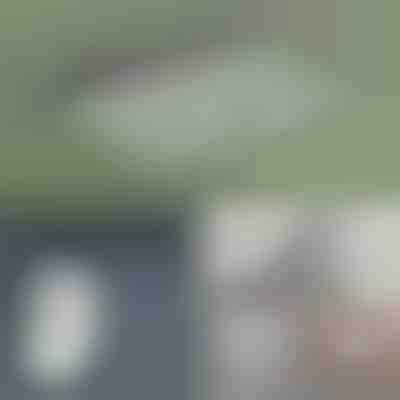 Stendibiancheria pieghevole adesiva per vestiti | VENTIDRY