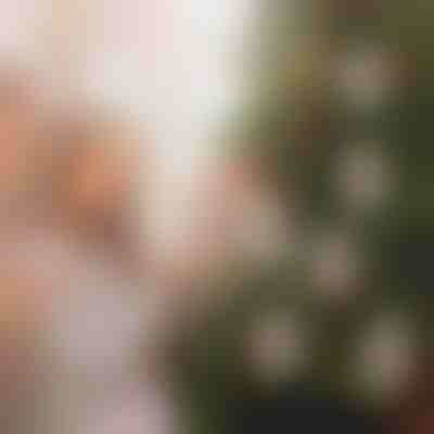 Ornamenti natalizi porta soldi (4pz) | WEALTHMAS