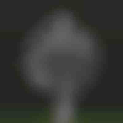 Mulino cinetico magico da giardino | WINDARA