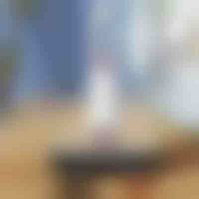 Mini mop autostrizzante| HANDYMOP