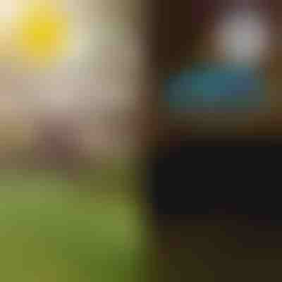 Luci da giardino tropicali solari | LUMIPALM