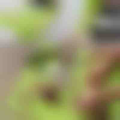 Tagliere con contenitore staccabile 2 in 1| CHOPPINATA