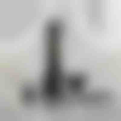 Regolatore multifunzionale per la cura personale | SHAVIX