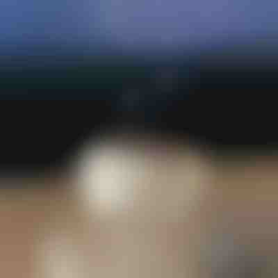 Diffusore di aromi rilassante | MEDUSAMIST