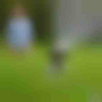 Irrigatore da giardino regolabile | WETSWEEP